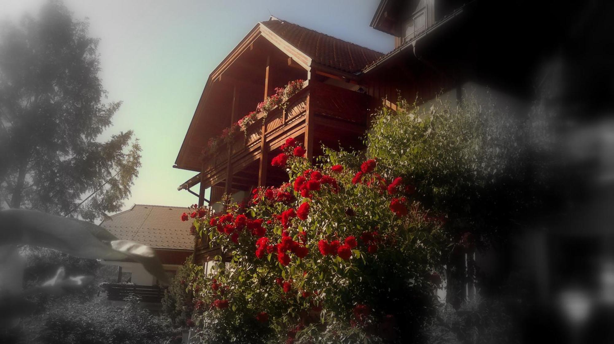 Ferienwohnungen Fischerhaus - Direkt Am See Millstatt Exterior foto